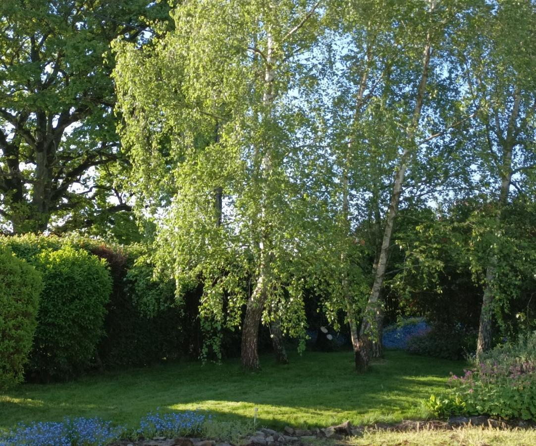 Cadol'Ain Bed and Breakfast Servignat Exteriör bild